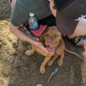 Meet your Posher, Elliott